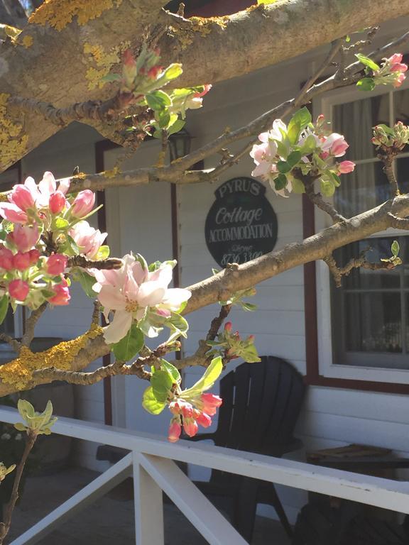 Coonawarra'S Pyrus Cottage Esterno foto